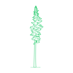 Plants Hemlocks Mountain Hemlock Laser Cut Svg File, Free Vectors File